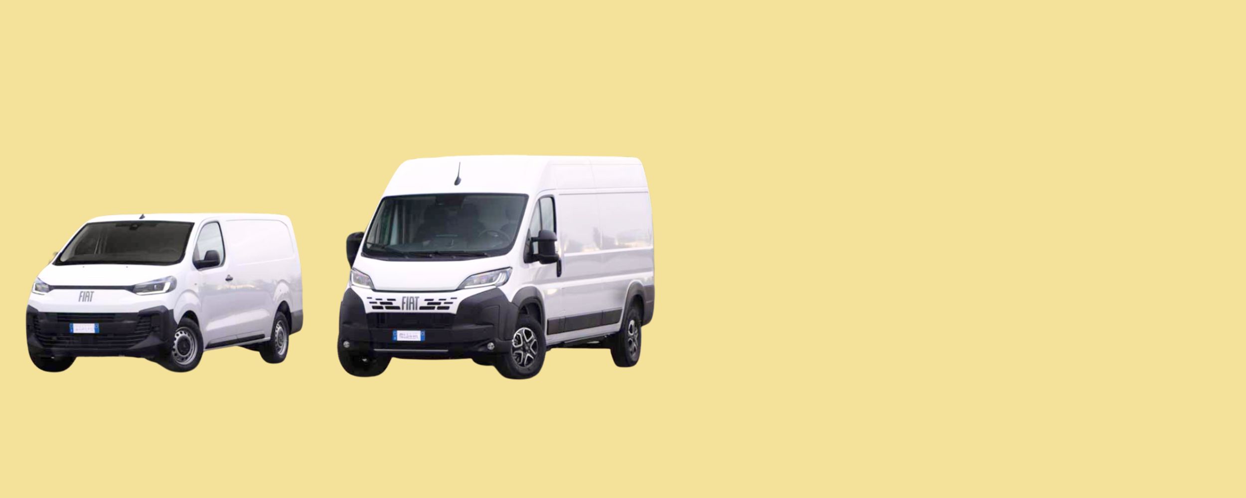 <p><strong>NUOVO VEICOLO COMMERCIALE?</strong></p>