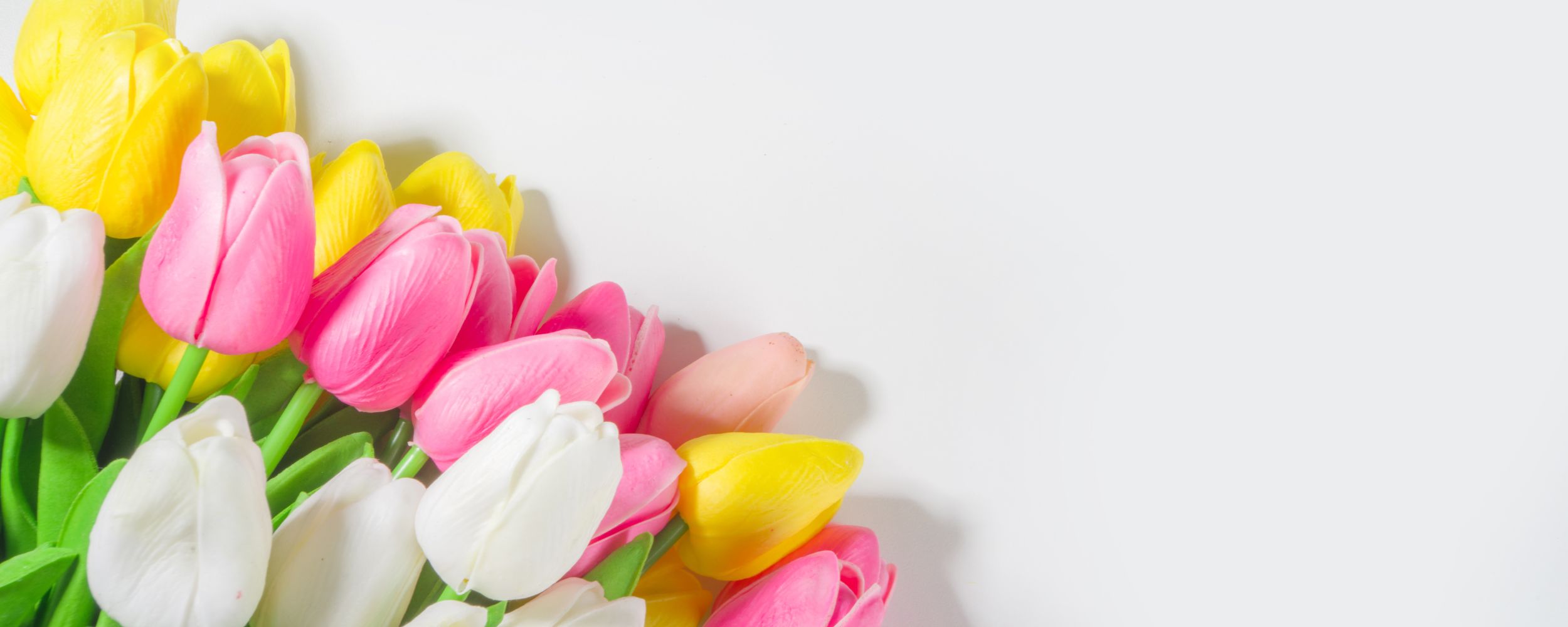 <p><strong>Buona Pasqua</strong></p>
<p>da tutto il team LIA</p>
